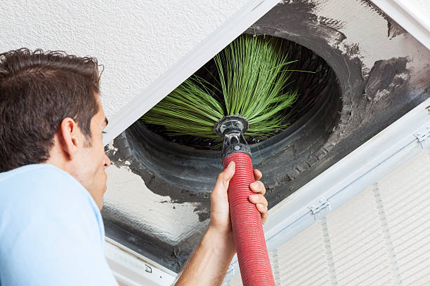 Best Emergency Air Duct Cleaning  in Elk Ridge, UT
